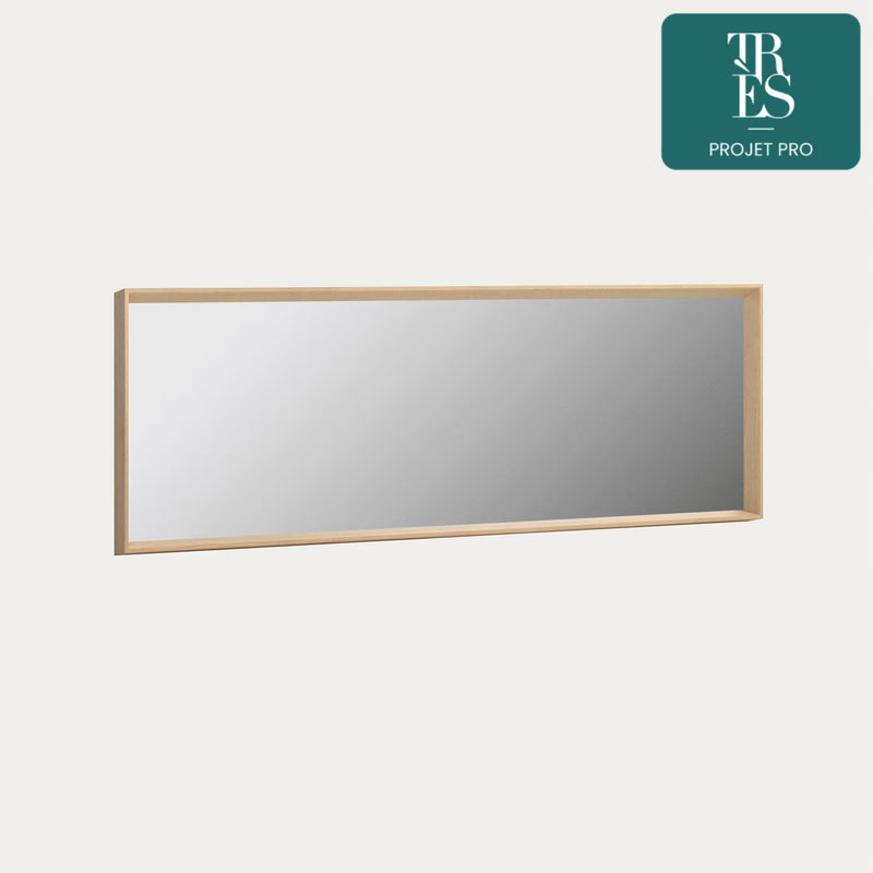 Miroir Nerina 52 x 152 cm