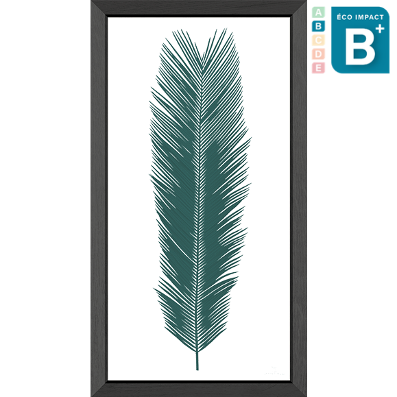 Cadre herbier tropical Cycas - 2 tailles