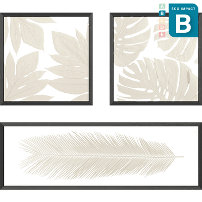Cadre composition d'herbiers - Numéro 4, Long. 120x120cm